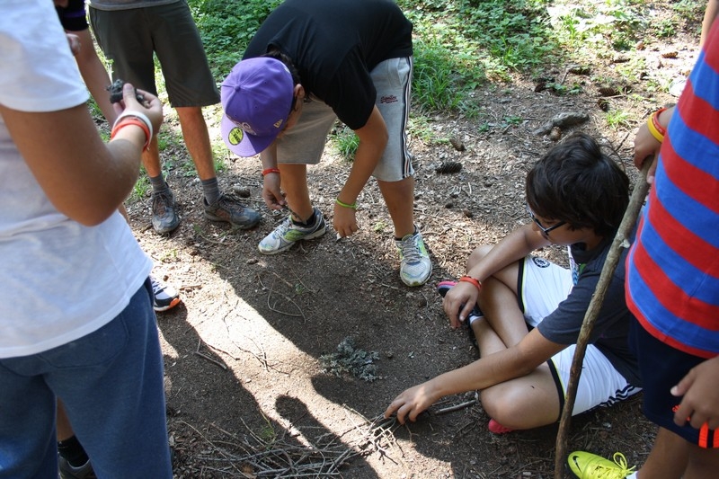 Village Camps International Summer Camp Leysin, Switzerland 2025-08-09 https://www.villagecamps.com/journals_admin/images/691-43-adventure (9).jpg
